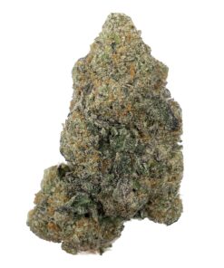 Gelato  – AAA+