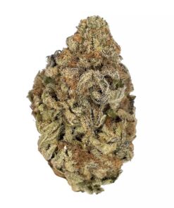 Gelato #45 – AAA – $120/Oz — buy online, same-day weed delivery in Toronto | Tropic Exotic