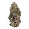 Zombie OG – AAA+