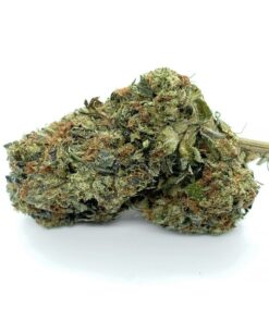 Grease Monkey – AAAA