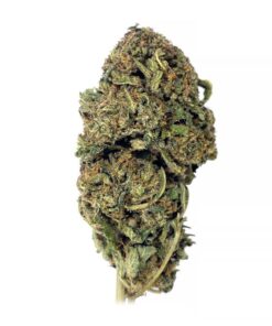 King Kush – AAA – $90/Oz