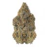 Khalifa Mints – AAA+