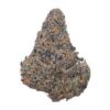 Mimosa – AA