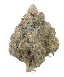 Mac 1 – AAAA+