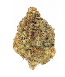 Mimosa – AA
