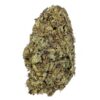 Wild Animal Cookies – AAAA
