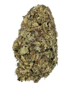 Nuken – AA – $60