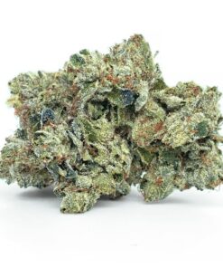 OG Shark – AAA+