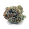 Grease Monkey – AAAA