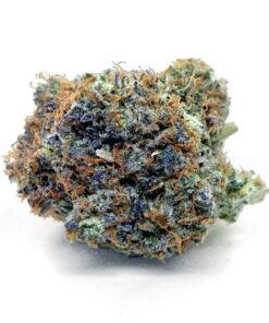 Orange Creamsicle – AAAA