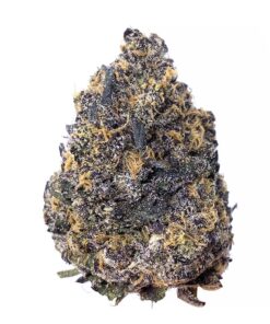 Phoenix OG – AAA+