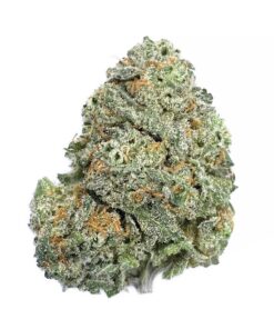 Pink Gelato – AAA+