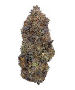 Rocket Fuel – AAAA