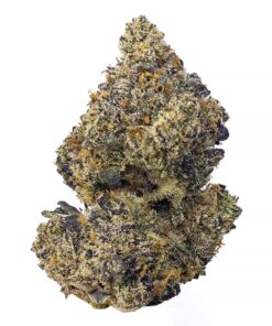 Runtz – AAAA