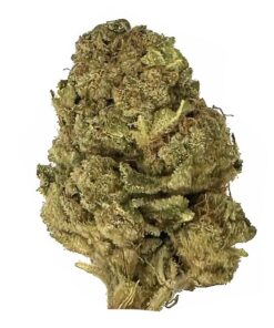 Sugar Shack – AAA