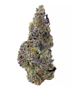 Tangerine Twist – AAAA+