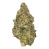 Wild Animal Cookies – AAAA