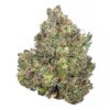 Afghan Mercedes Hash