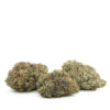 Fruit Gushers by Pluto Craft Cannabis Fruit Gushers by Pluto Craft Cannabis — buy online, same-day weed delivery in Toronto | Tropic Exotic