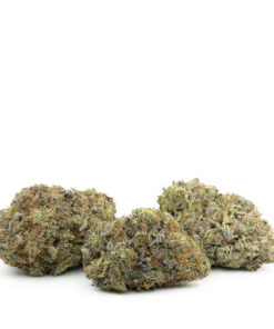 Key Lime Pie — buy online, same-day weed delivery in Toronto | Tropic Exotic