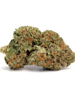 Kosher Kush