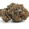 Diesel Punch