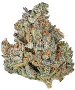 Kush Mints