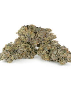 Lava Cake #11