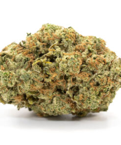 Lemon Gelato — buy online, same-day weed delivery in Toronto | Tropic Exotic