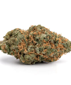 Lemon Haze