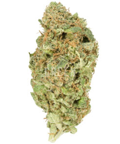 Lemon Haze