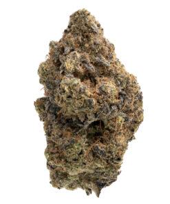 Lemon Larry OG
