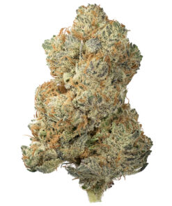 Lemon Skunk