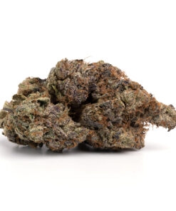 Lemon Cherry Popper – Sativa