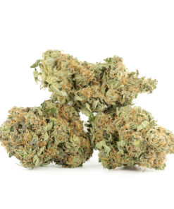 Lindsay OG