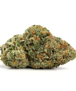 MK Ultra