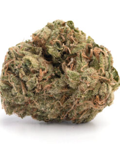 Mango Haze