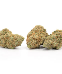 Mango Sapphire – Sativa — buy online, same-day weed delivery in Toronto | Tropic Exotic