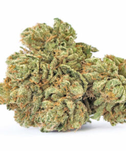 Maui Wowie – Sativa — buy online, same-day weed delivery in Toronto | Tropic Exotic
