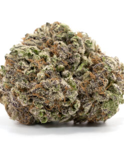 Mendocino Purps