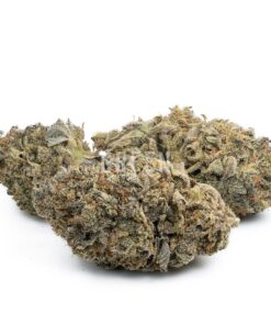 Mendocino Purps