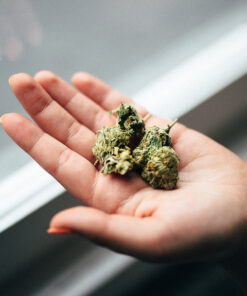 Mix & Match 1/2 Ounces