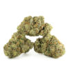 White Russian