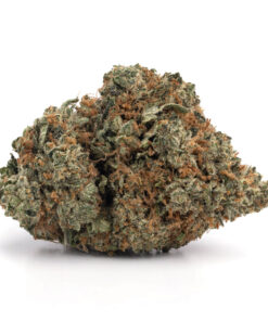 NYC Diesel