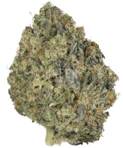 Northern Lights x Big Bud