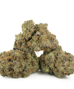 OG Diesel Kush