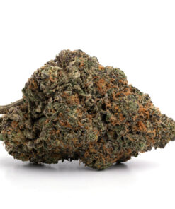 Orange Creamsicle