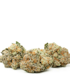 Orange Crush