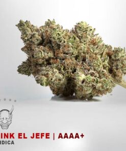 Pink El Jefe – AAAA+ — buy online, same-day weed delivery in Toronto | Tropic Exotic