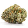 Panama Red — buy online, same-day weed delivery in Toronto | Tropic Exotic